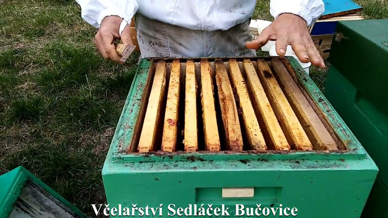 51/22 Nasazení prvních medníků 8.4.2022 v Zemi zaslíbené Včelařství Sedláček