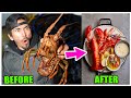 Eating LIVE MONSTER Lobster - Catch & Cook *TASTE TEST*