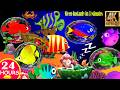 Baby Sleep Music 🌙 Relaxing Ocean World 🐠 Mozart Lullaby for Deep Sleep Undersea Fish Animation