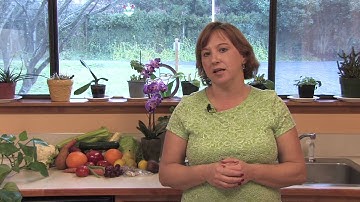 Garden & Lawn Maintenance : How to Kill Kudzu