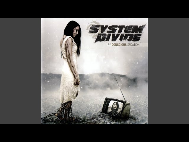 System Divide - The Conscious Sedation