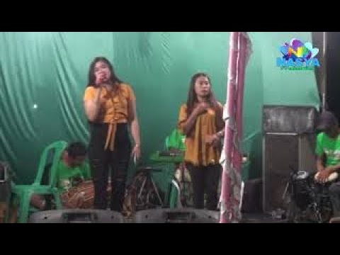 Dirubung Semut.Bintang Intert live Bpk Muiz pecuk 4 mei 2022