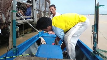 Câu cá làng bè.nay trúng ổ cá cóc lớn kết quả không tưởng@