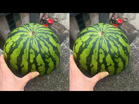 Experiment: Will a watermelon explode if it rolls down from a tall building? 🍉💥