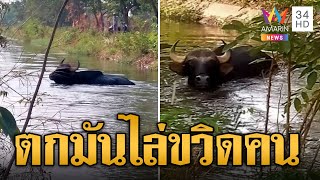 กระทิงป่าภูหลวงตกมัน ไล่ขวิดมอเตอร์ไซค์ชาวบ้านพัง | ข่าวเที่ยงอมรินทร์ | 24 เม.ย.66