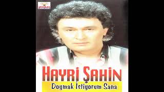 Hayri Şahin - Gün Oldu Resimi