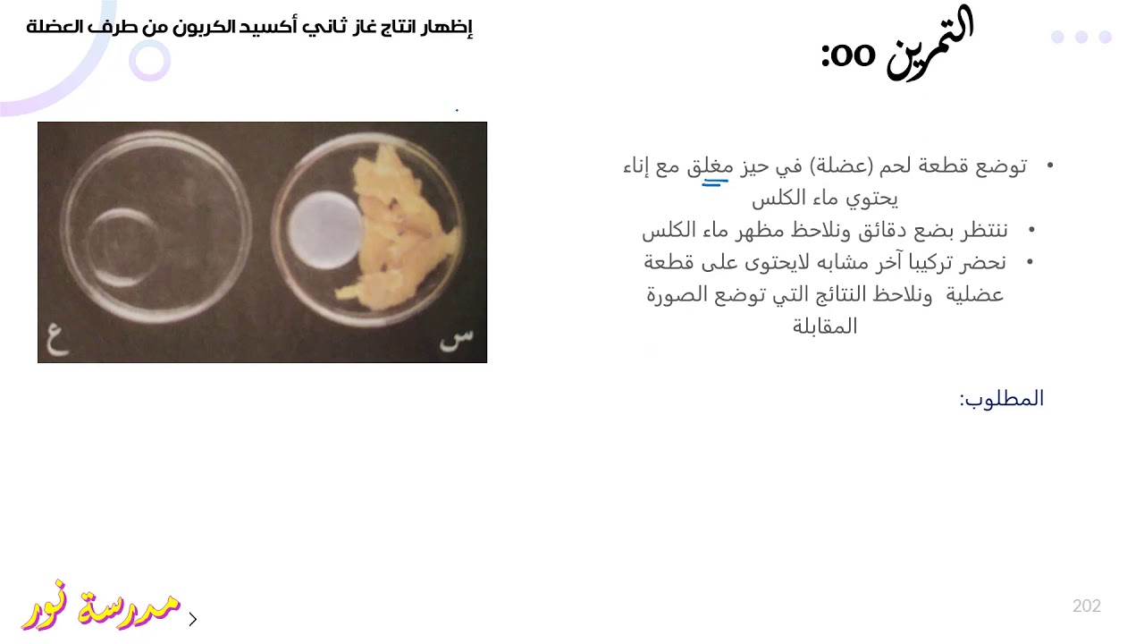 تمرين حول استهلاك العضلة للغلوكوزوثنائي الأكسجين علوم طبيعية سنة 04 متوسط
