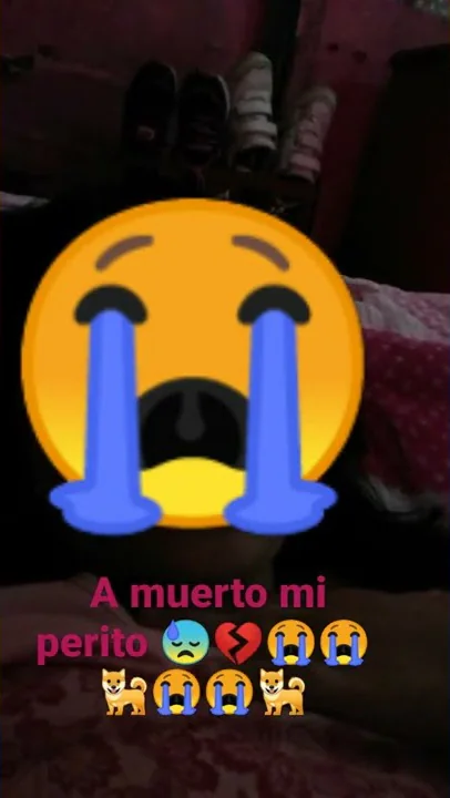 8 de abril de 2022