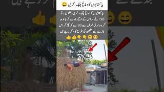 pakistaniyon ka jugaad dekhen!Try Not To Laugh Challenge 😂 | Funniest Moments Ever#Funny  #Comedy