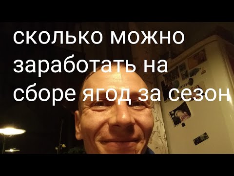 Сколько можно заработать на сборе ягод в Карелии. Проверено на себе.