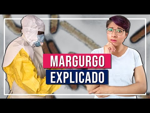 MARBURG EXPLAINED: What is it and what does it do to our body? | MEDICINE.