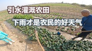 田地干枯缺水需要引水灌溉农田，下雨天才是农民的好天气