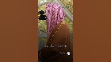 الشيخ احمد الحذيفي من سورة المطففين