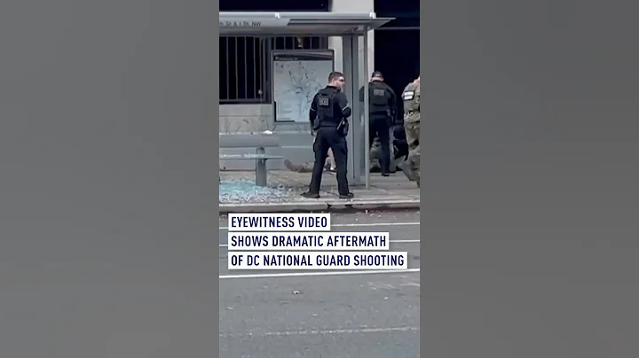 Eyewitness video shows dramatic aftermath in shooting of guardsmen in DC