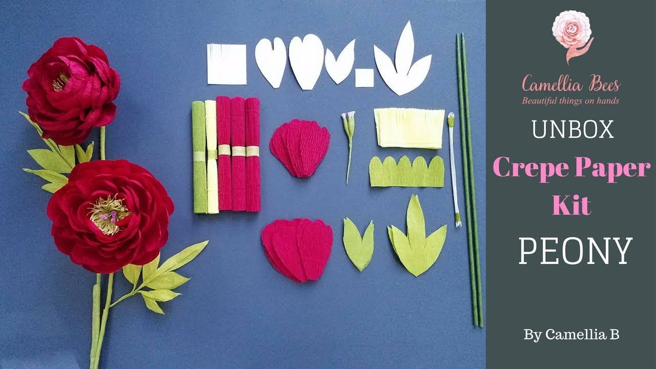  FREEBLOSS 25 Set DIY Crepe Paper Flowers Kit with Video  Tutorial Flower Template 8 Colors Crepe Paper for Flower Making with  Instruction Crepe Paper Roll for Beginners Paper Flower Kits for