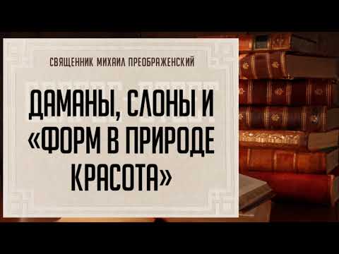 Даманы, слоны и форм в природе красота