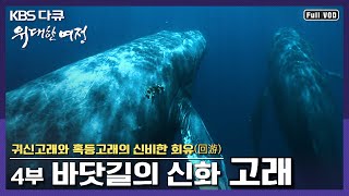 [명작다큐] 새끼를 낳기 위해 7000km를 이동하는 고래의 신비 | [위대한 여정] 4부 “바닷길의 신화, 고래” (KBS 080130 방송)