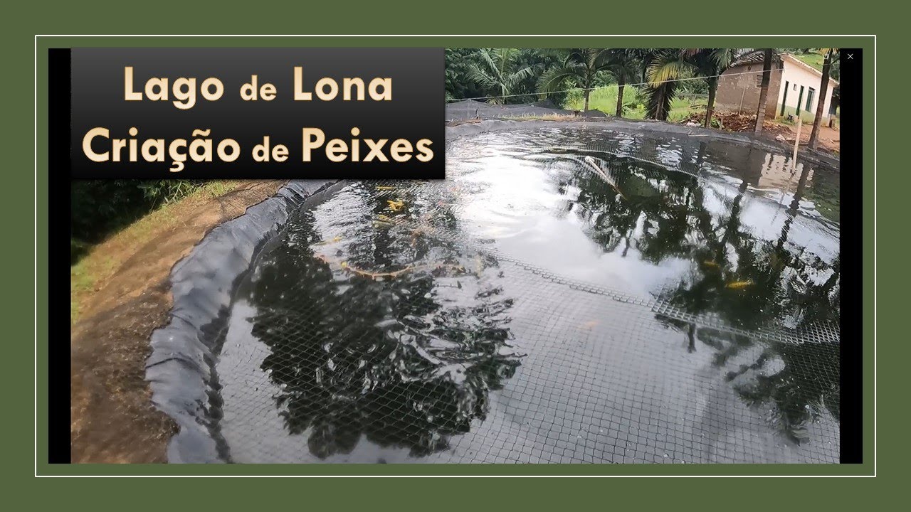 Lago feito de lona para criação de Peixes Funciona?
