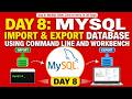 Day 8: MySQL Import & Export Database using Command Line and Workbench #mysql #restore #day8