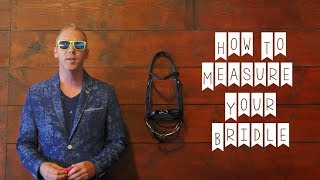 How To Measure Your Dressage Bridle
