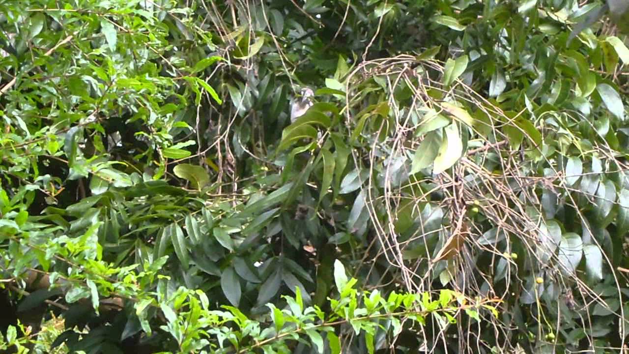 P1000680