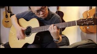L.Luthier Eden Acoustic Guitar Sound Demo