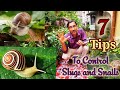 7 Most Essential Tips to Control Slugs and Snails in your garden