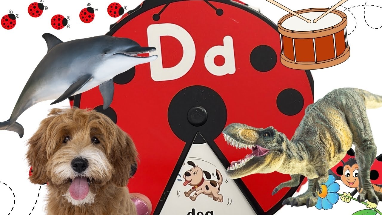 Learn D EPISODE 4: Learn The Letter D With Amazing Ladybug Cards For Kids ...