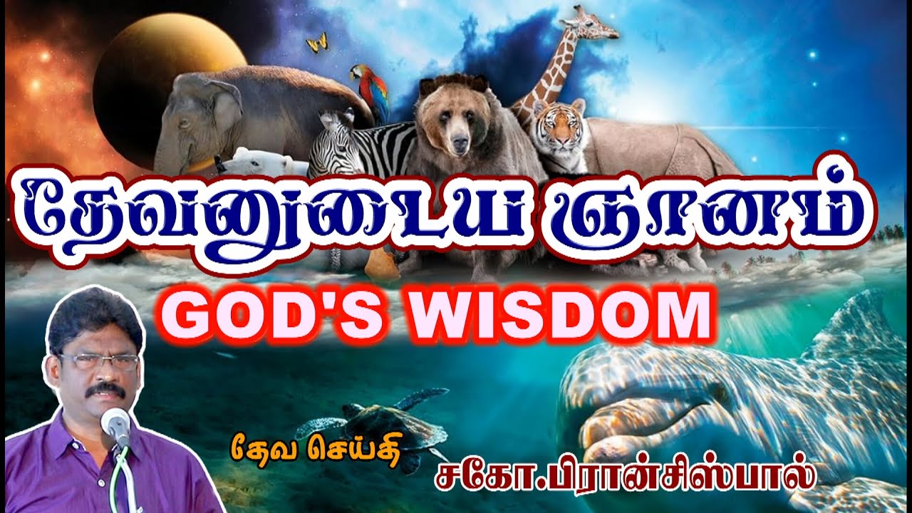 SUNDAY SUBJECT - GODS WISDOM - 01-02-2026