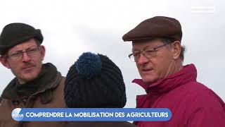 FOCUS - Comprendre la mobilisation des agriculteurs