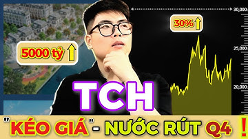 Phân tích cổ phiếu TCH cuối năm | Bùng nổ lợi nhuận, kéo đà nước rút