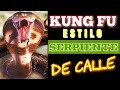 KUNG FU : Estilo SERPIENTE para la CALLE