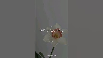 سُبحان من جعل في صوته الراحه😔🌱|عبدالرحمن مسعد|سورة يونس|ويعبدون من دون الله ما لا يضرهم ولا ينفعهم