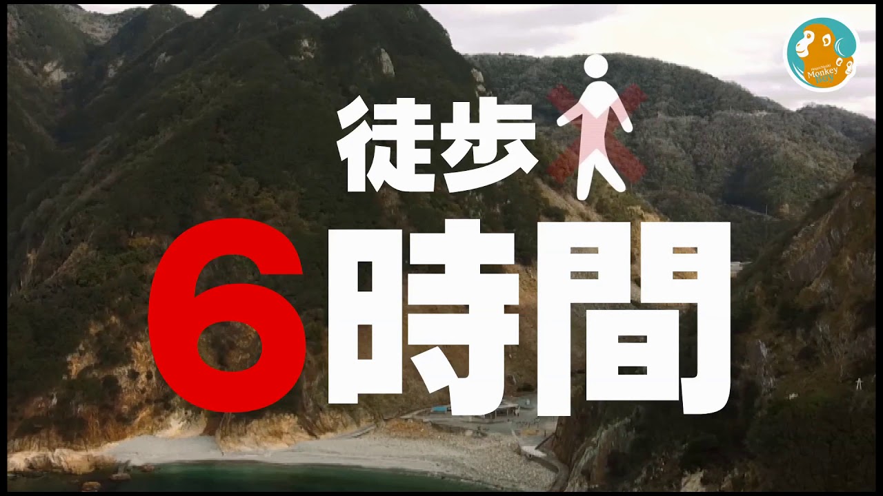Top 東日本最大級のニホンザルに会える 波勝崎モンキーベイ Top 東日本最大級のニホンザルに会える 波勝崎モンキーベイ