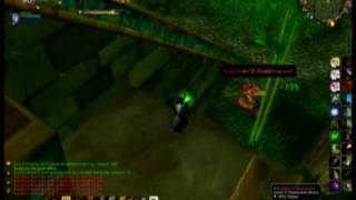 Bloodlord Mandokir @ Zul'Gurub - A hunters' how-to (2009)
