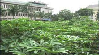 [KOR sub] 2010 KBS World Han Network ep.13 (2010 KBS World 한네트워크 13회)