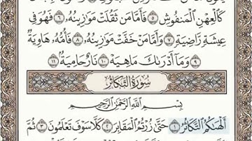 سورة التكاثر الصفحة 600 عبدالباسط عبدالصمد مجود