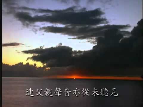 若你能看見