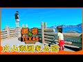 vlog 火山湖国家公园美不胜收，德州牛排馆探店美味佳肴 Crater Lake National Park &amp; Texas Roadhouse