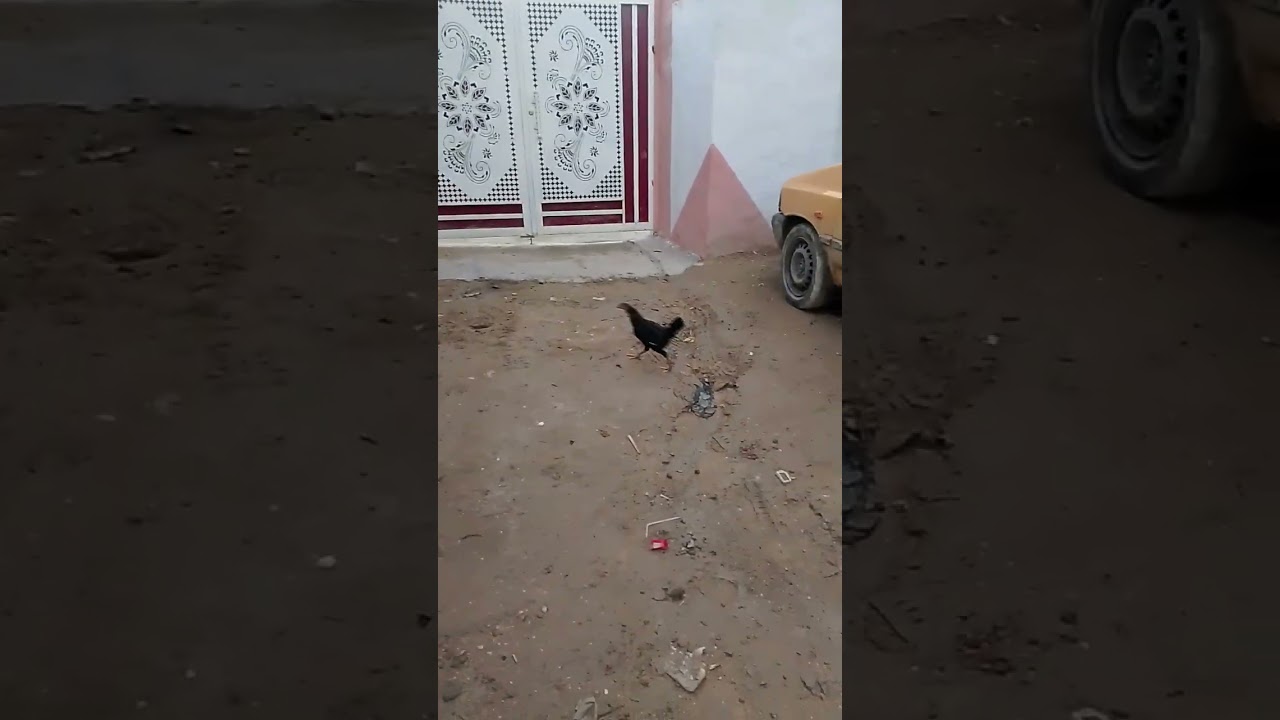 30 ديسمبر 2025