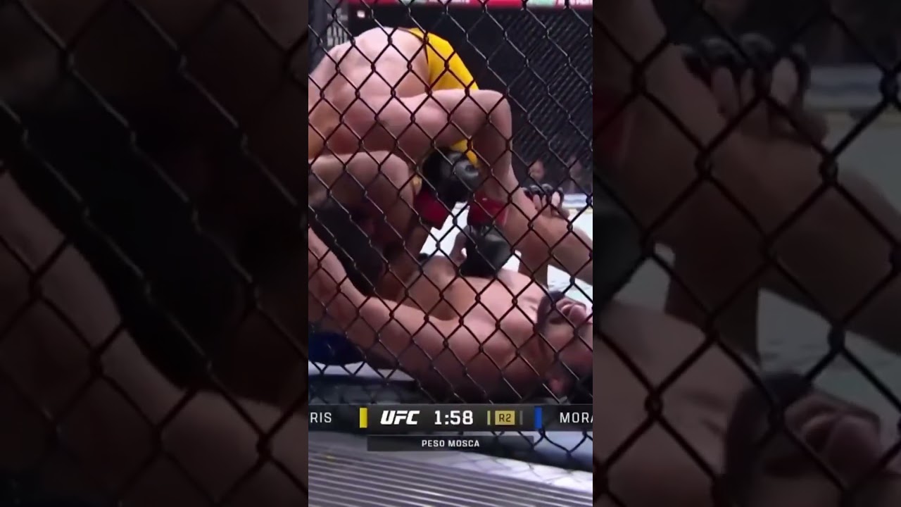 UFC 319: Joseph Morales sometió a Alibi Idiris y es campeón del TUF 33 