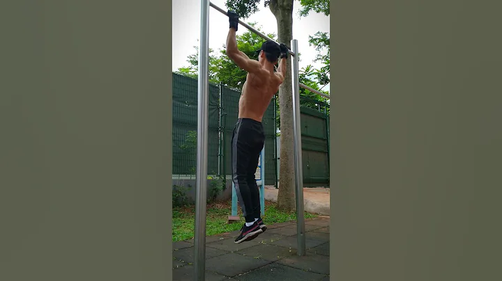 daily exercise 日常锻炼 001 基本锻炼 引体向上 练背 Basic Workouts Pull-Ups Back Workouts - 天天要闻