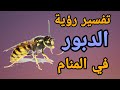 تفسير حلم رؤية الدبور في المنام لابن سيرين رؤية عش الدبابير فى الحلم 