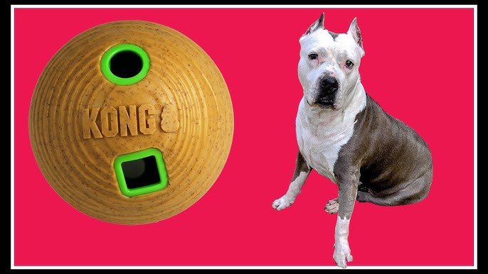 KONG Bambo Feeder Dumbell Treat Dispensing Dog Toy