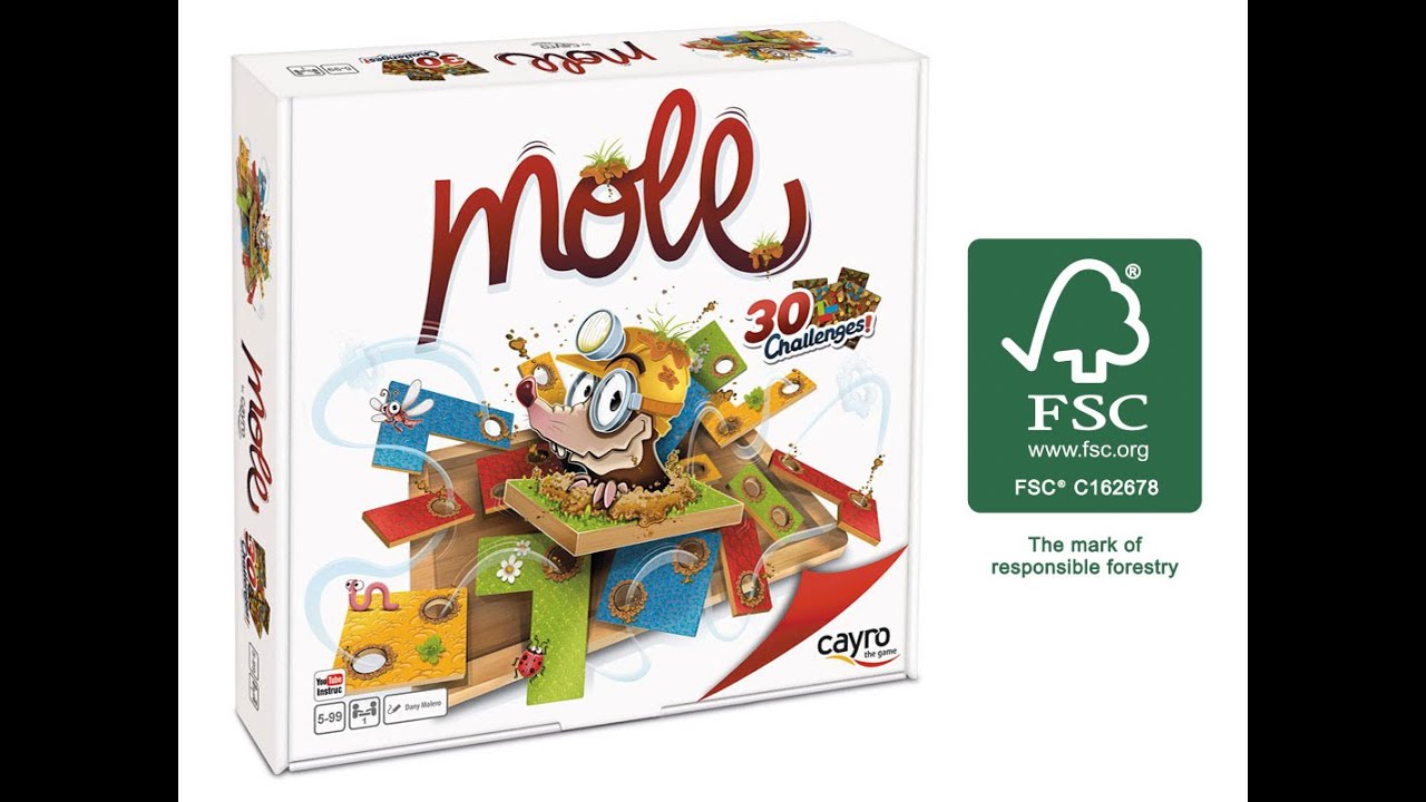 video MALL 30 CHALLENGES CAYRO