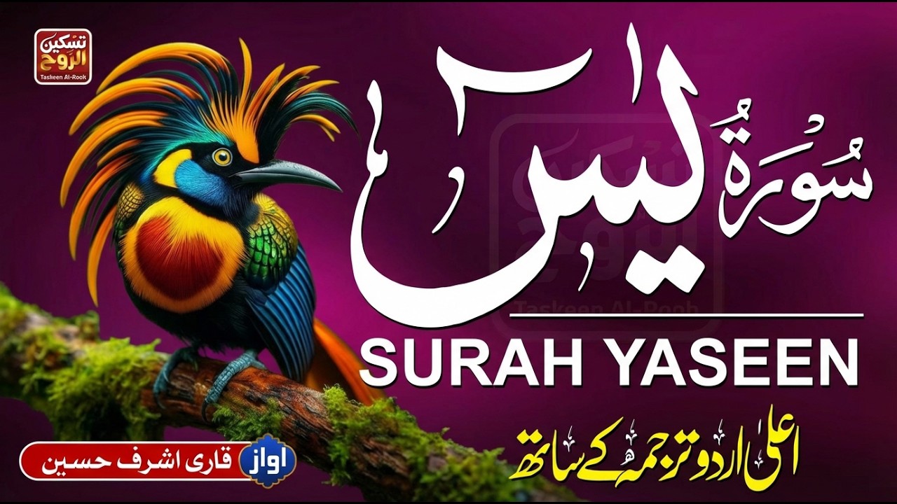 Surah Yaseen سورۃ یس with Urdu & Hindi Translation | Ramadan Tilawat #taskeenalrooh