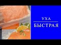 Уха быстрая и вкусная.