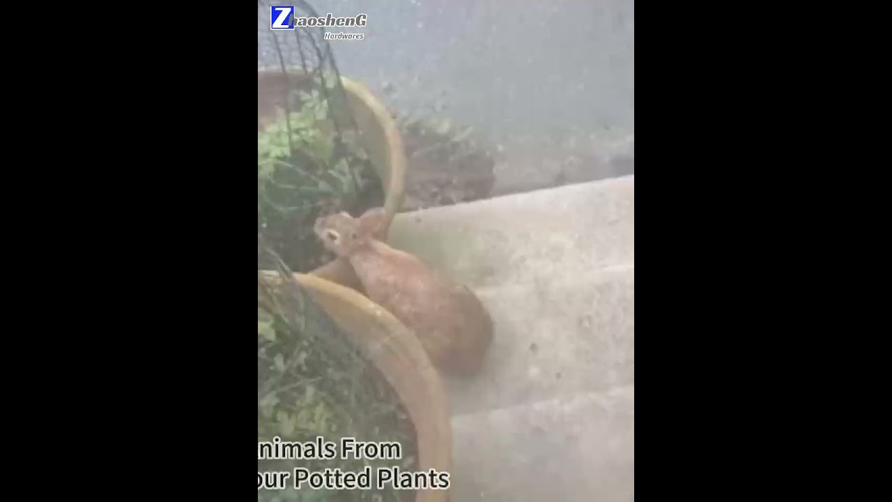 Rust-Free Garden Cloche Designed to Shield Your Potted Plants - Zhaosheng Hardware