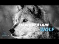 RATHER BE A LONE WOLF - For Those Who Walk Alone - (Best Motivational Video)