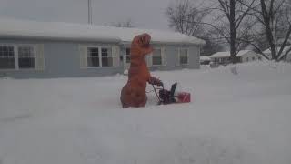 T-Rex snow service